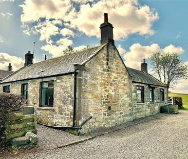 3 bedroom bungalow to rent - Photo 3