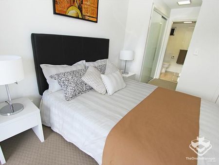 1 bed plus study - Great for UQ! - Photo 4