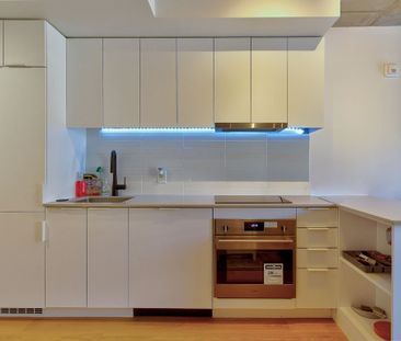 1406 Rue Ste Élisabeth, Montréal (Ville-Marie), QC H2X - Photo 4