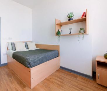 Bronze Double with View - Photo 3