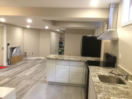 For Lease - 67 Thornbury Court Unit# Basement, Hamilton, Ontario - Photo 3