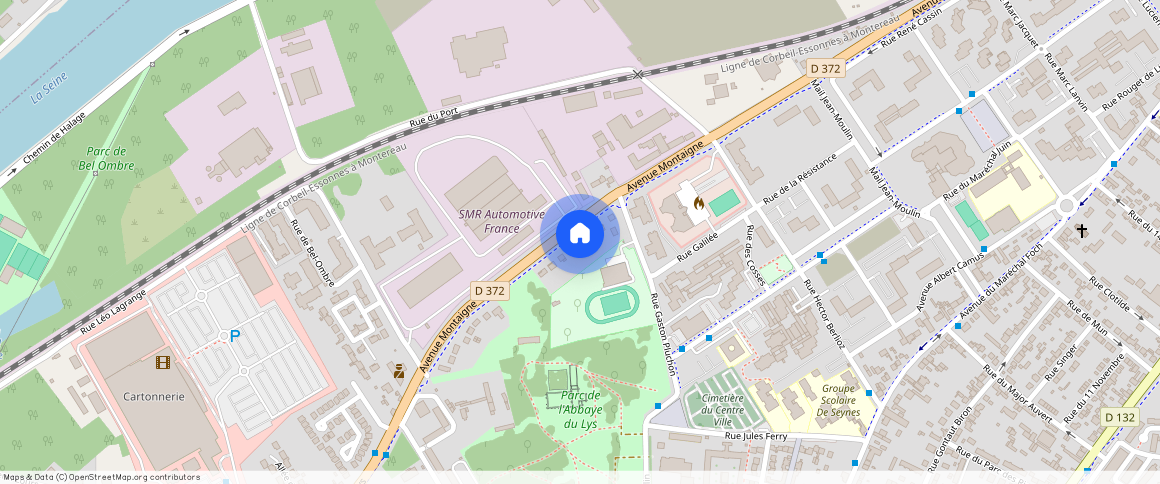 SEINE-ET-MARNE (77), - ILE-DE-FRANCE, DAMMARIE LES LYS (77190)