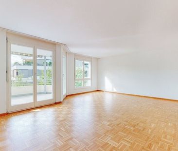 Make your dream of having your own garden come true - Photo 1