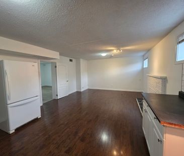 BSMT LEVEL OF GREAT HOUSE IN COQUITLAM (UTILITIES INCLUDED) - Photo 2