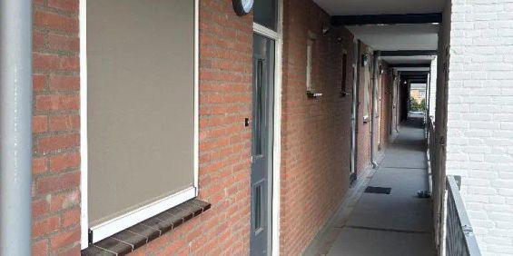 Appartement Wildbaan 67-A, Etten-Leur - À louer - Photo 3