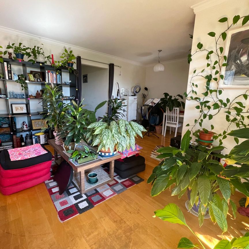 Centennial Park - Photo 1