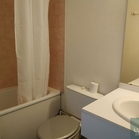 Appartement de type 1 meublé - Quartier Saint Michel - Photo 3