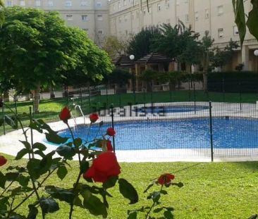 Alquiler de piso en Avenida de Plutarco, 75 - Foto 2