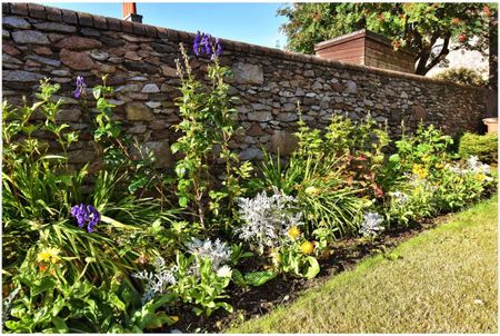 1 Bed Flat, Elmfield Avenue, AB24 - Photo 3