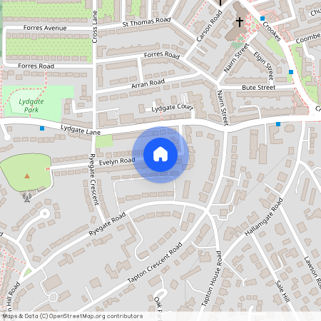 21 Evelyn Road, Crookes