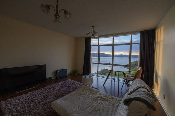 Cosy apartment with amazing views in Maupuia - Photo 1