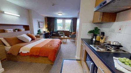 Platinum Studio - Photo 3