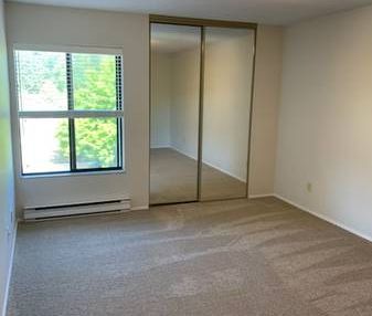 lovely spacious 2 bed 1.5 bath with in unit laundry! - Photo 1