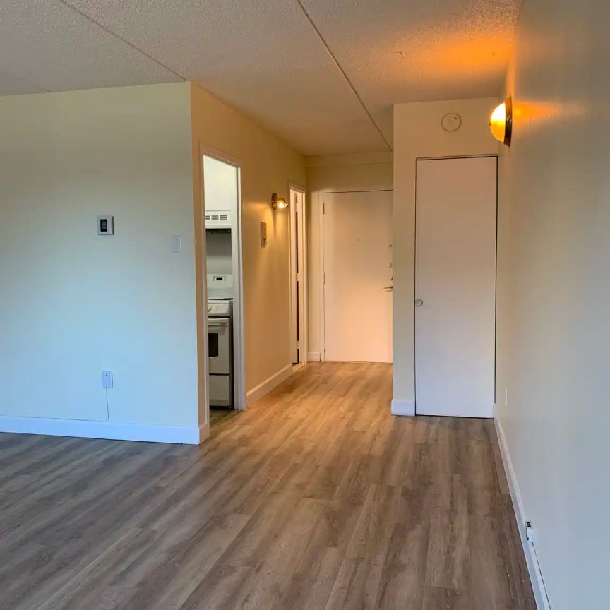 1300 Boulevard de la Côte-Vertu — 2 ½ - Photo 1
