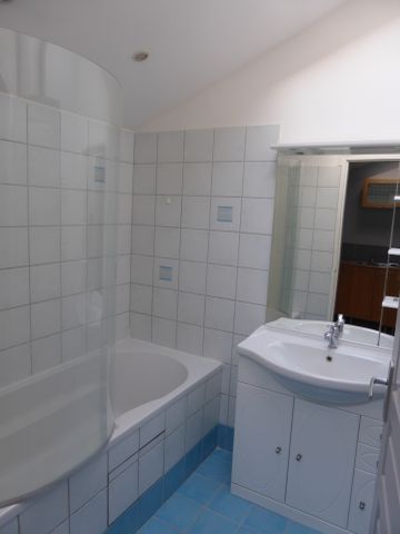 Location Appartement 2 pièces 41m² CHATEAUNEUF SUR LOIRE 45110 - Photo 5