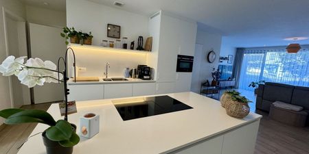 Appartement te huur in Beerse voor € 995 met 1 slaapkamer - Foto 3