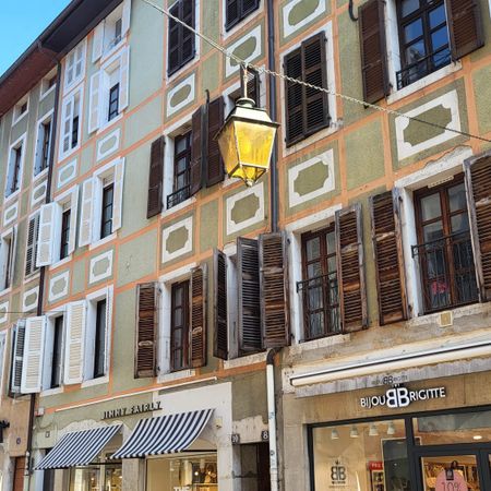 Location Appartement 1 pièce 25m² ANNECY 74000 - Photo 4