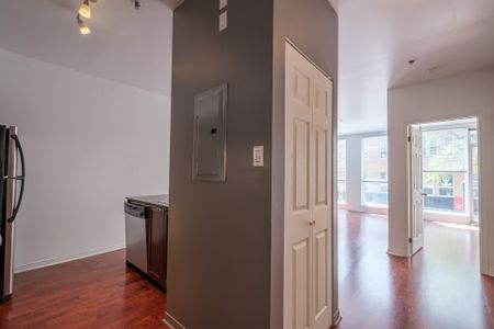 Condo for rent, Montréal (Le Plateau-Mont-Royal) - Photo 4