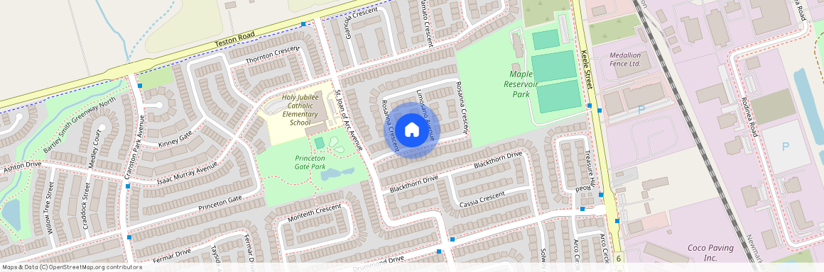 36 Rosanna(Lower Level) Crescent, Vaughan