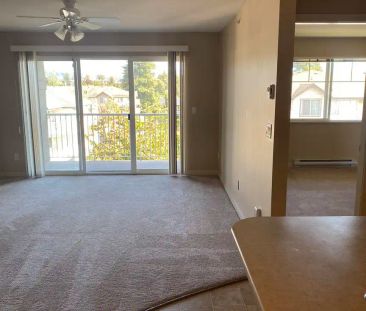 Marshall Grove East Apartments — 1 Bedroom - Photo 1