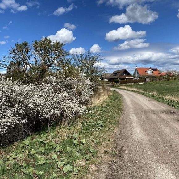 Röstånga - 6rok - 11mån - 11.500kr/mån - Photo 1