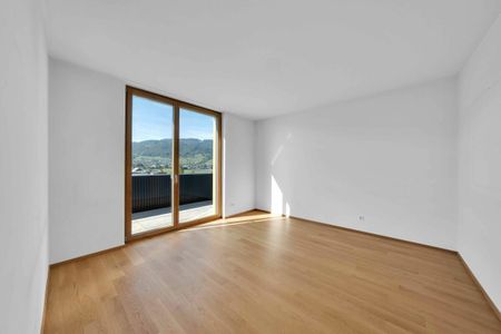 Kloterenstrasse 3c, 9435 Heerbrugg - Photo 4