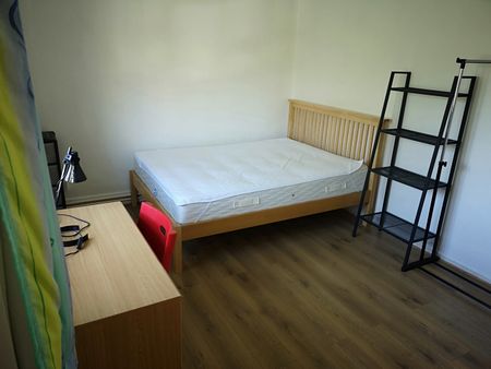 Room in a Shared Flat, Orlescote Road, CV4 - Photo 4