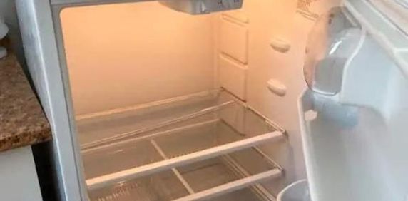 2 CH - 1 SDB - Sainte-Anne-de-Bellevue - $1,475 /mo - Photo 2