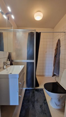 Södra strandgatan, Borås - Foto 4