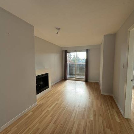 2bd + 1 Bath Top Floor Unit 3089 Oak Street - Photo 3