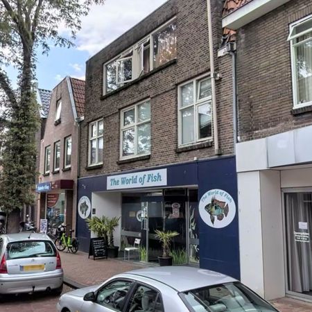 Kamer, Thomas a Kempisstraat - Foto 4