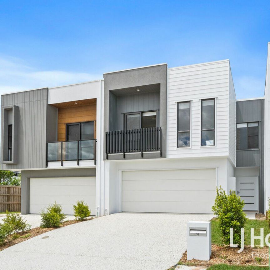 Terrace Living at it's Best! Larger than Most Standard Homes - Photo 1