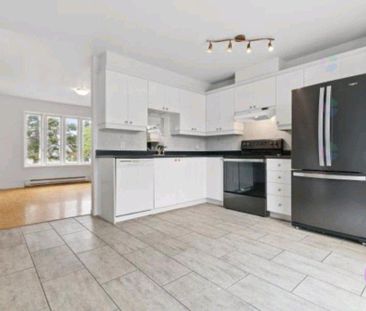 maison à louer laval St-francois - Photo 2