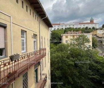 Attila út - Photo 1