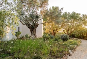 Luxury Detached House for rent in Cala de Portinatx, Balearic Islands