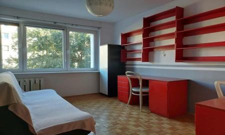 Winogrady, Poznań - Photo 3