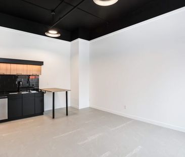 Aberdeen: Loft Suites – 710 Westminster, Winnipeg, MB - Photo 5