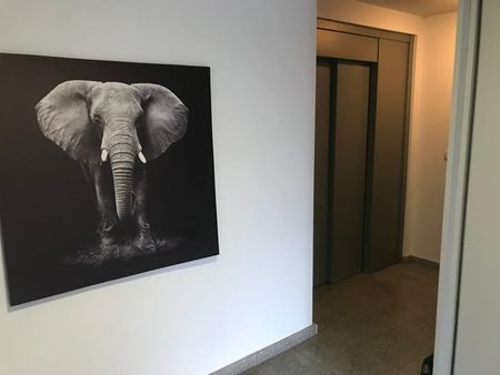 Appartement te huur - Photo 3
