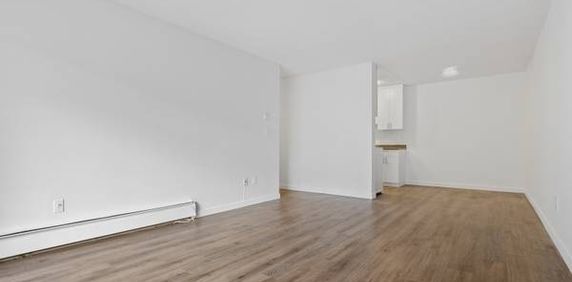 Brunswick Apartments - 1 Bedroom Suite - Available Now - Photo 2