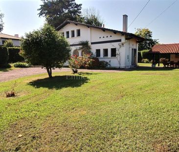 Maison à louer à Guéthary, au calme, centre ville et plages accessi... - Photo 4