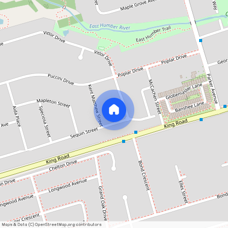 46 Seguin Street Unit# FURNISHED BASEMEN…, Richmond Hill