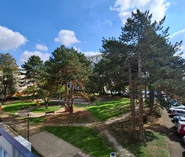 T3 de 67 m² – vue sur le parc et proche des transports - Photo 4
