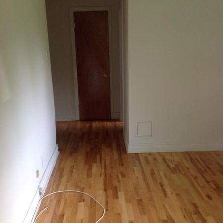 1 CH - 1 SDB - Montréal - $1,000 /mo - Photo 3