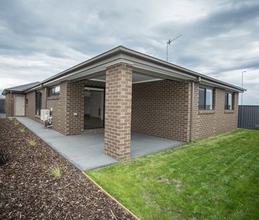 Room To Move in Established Alfredton - Photo 3