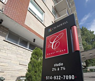 1745 Avenue Cedar, Montréal, QC - Photo 4