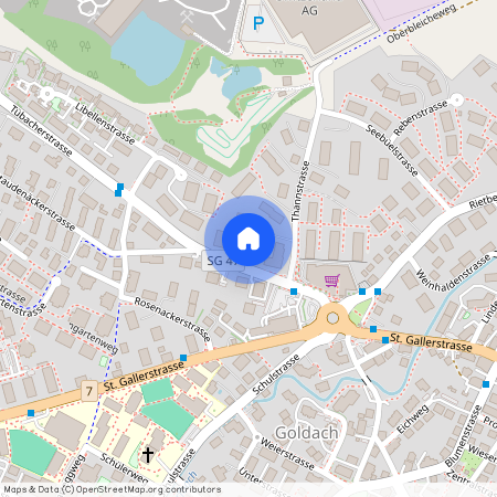 Thannstr. 3, 9403, Goldach