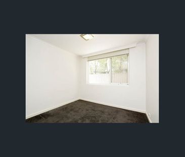 Light-filled & secure Hawthorn living - Photo 3