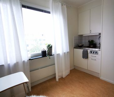 Jungfrudansen, Solna - Foto 4