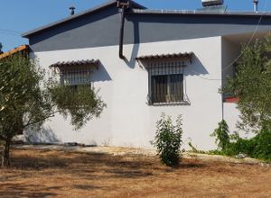 Μονοκατοικία για ενοικίαση - Ανατολικος Όλυμπος, - Φωτογραφία 5