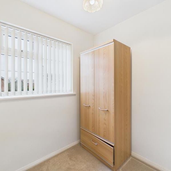 Fieldfare, Abbeydale, Gloucester - Photo 1